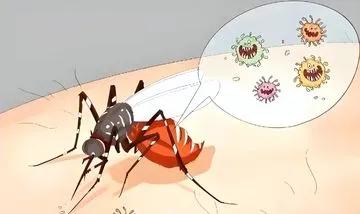 全球最大蚊子工廠在巴西建成