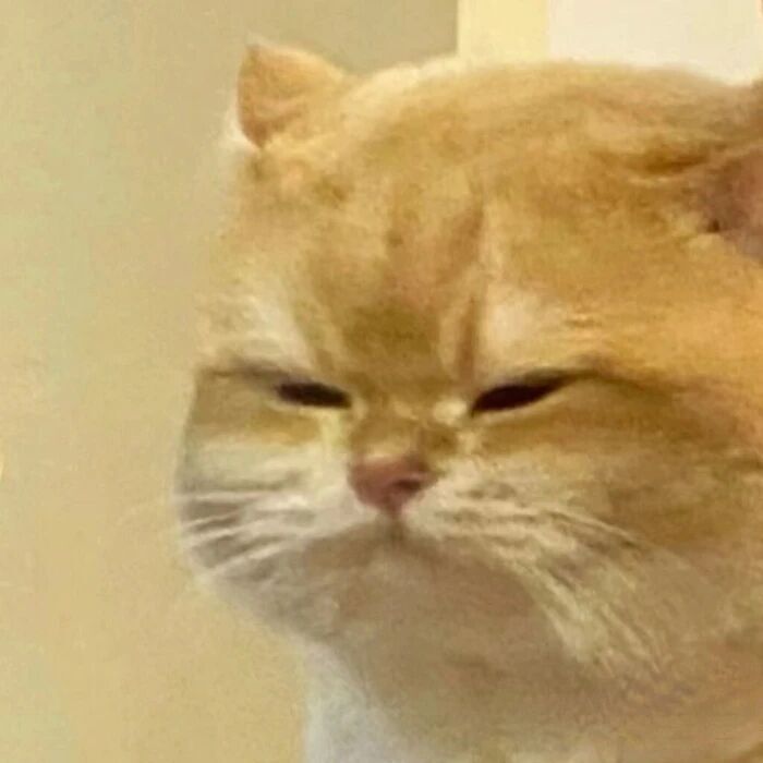 我靠!今年剛發(fā)布的超薄手機,價格暴跌3500元 圖片